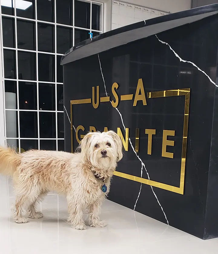 Dog in front of the USA Granite counter